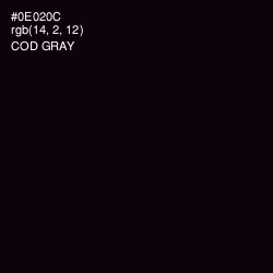 #0E020C - Cod Gray Color Image